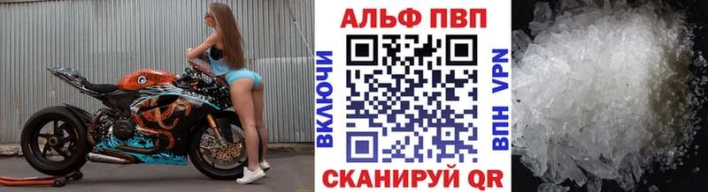 Купить закладки  Волгореченск  А ПВП крисы CK 